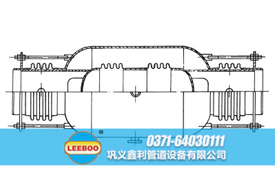 浙江省臺(tái)州市溫嶺市<a href=http://m.metrowesthousebuyers.com target=_blank class=infotextkey>補(bǔ)償器</a>示意圖
